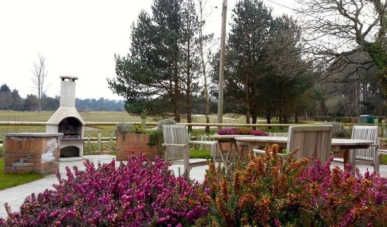 The Dorset Resort East Stoke  Bagian luar foto